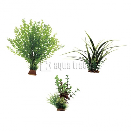 ArtUniq Plant Mix Set 3M - Набор искусственных растений Кариота, Акорус, Лизимахия, 15-35 см, 3 шт 