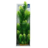 Растения Prime 25 см Ротала зеленая 