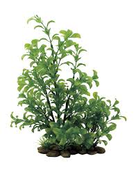 ArtUniq Ludwigia green 30 - Искусственное растение Людвигия зеленая, 30 см 