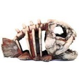 Грот Deksi 903 Скелет рыбы
