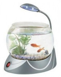 Круглый аквариум 1,8л с LED светильником, грунтом и растением