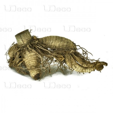 UDeco Bamboo hair root M