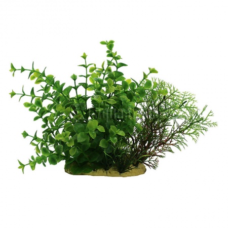ArtUniq Ludwigia green 15 - Искусственное растение Людвигия зеленая, 15 см 