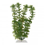 Растение Tetra 45см кабомба