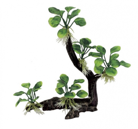 ArtUniq Branched Driftwood With Anubias nana M4 - Декоративная композиция из пластика "Ветвистая кор