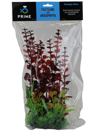 Растения Prime 35 см 1405