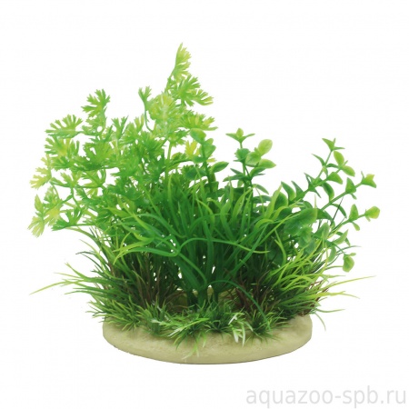 ArtUniq Ranunculus inundatus mix 15 - Композиция из искусственных растений Лютик водный, 15 см 