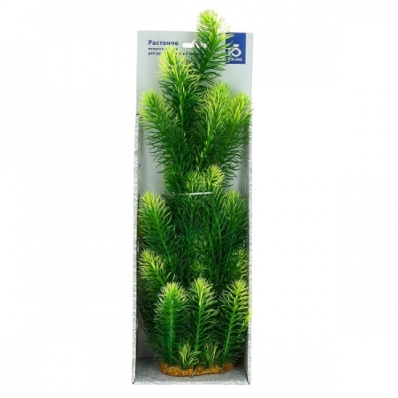 Растения Prime 38 см Ротала зеленая