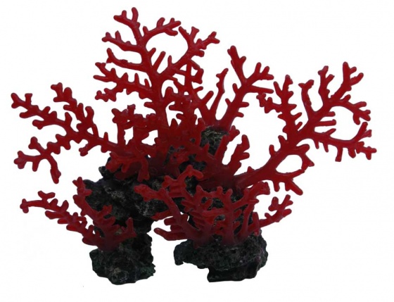 Грот Barbus 279 коралл